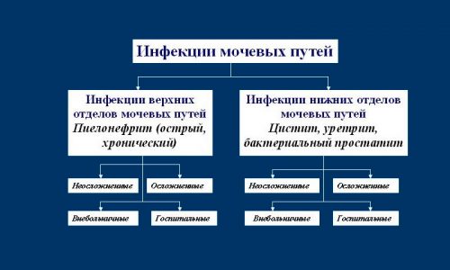 Пиелоцистит - это заболевание, при котором происходит одновременное воспаление мочевого пузыря и почек