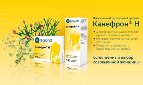 Для лечения цистита у беременных существуют различные средства на основе растительного сырья, обладающие способностью снижать интенсивность воспалительного процесса, устранять болевые ощущения и нормализовать мочевыделение