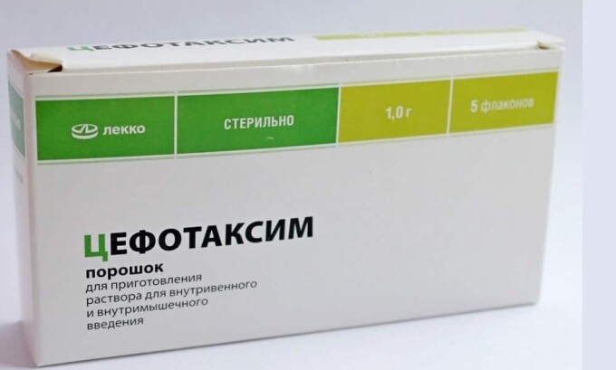 Цефотаксим запрещен к применению больным с нарушениями функций почек и печени