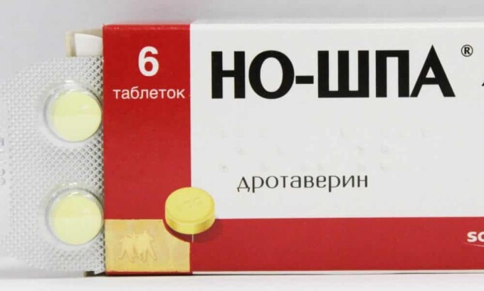 В случае если заболевание сопровождается такими симптомами, как острая боль и спазмы, которые невозможно терпеть, можно принимать спазмолитики – Дротаверина гидрохлорид, Дротаверин, Но-шпу