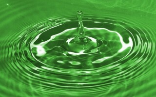Почему появляется зеленая моча