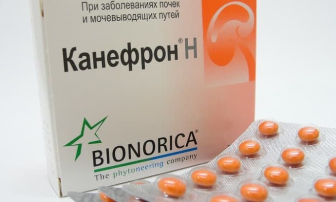 Кормящим матерям, заболевшим циститом, врач назначает препарат Канефрон, который производят из растительных компонентов