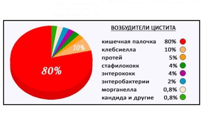 Нельзя бесконтрольно принимать антибиотики и пить в больших дозах уросептики. Необходимо помнить, что с помощью одного лекарства нельзя уничтожить все патогенные микробы