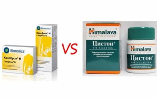 Канефрон и Цистон: особенности препаратов и их применения