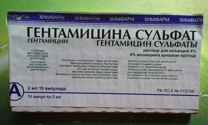 Гентамицин назначают при хроническом протекании заболевания